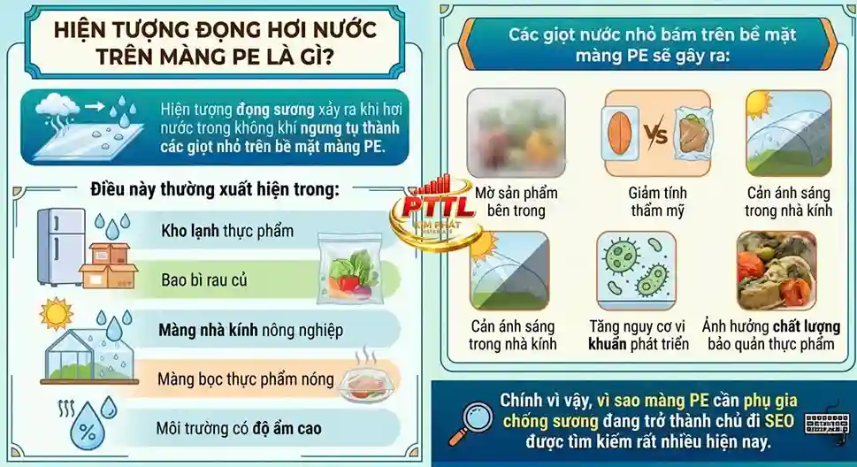 vi-sao-mang-pe-can-phu-gia-chong-suong